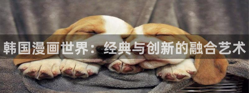 拷贝漫画,：韩国漫画世界：经典与创新的融合艺术