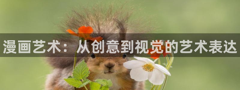 看拷贝漫画推荐app：漫画艺术：从创意到视觉的艺术表达