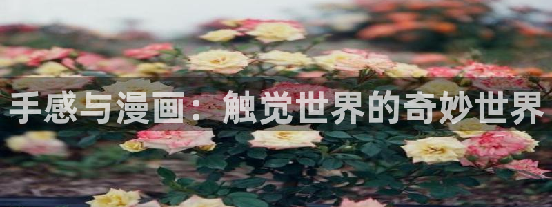 拷贝漫画免费官网下载：手感与漫画：触觉世界的奇妙世界