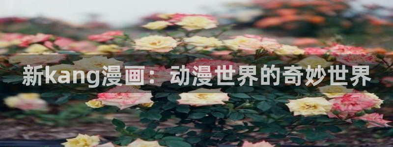 拷贝漫画404：新kang漫画：动漫世界的奇妙世界