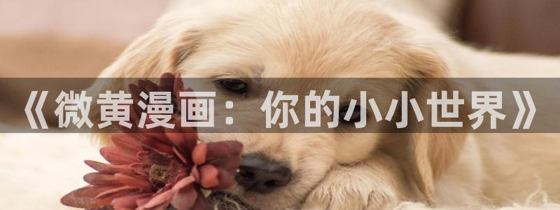 伯爵家的不速之客拷贝漫画：《微黄漫画：你的小小世界》